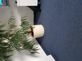 Sommerjacke "Sibirien" 